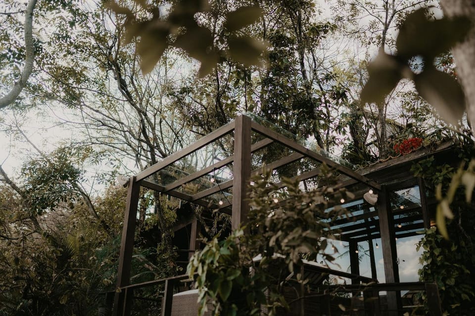 Natural landscape, Garden view