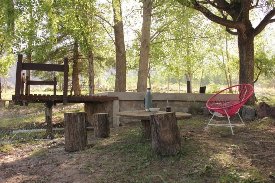 Patio, Natural landscape, Garden