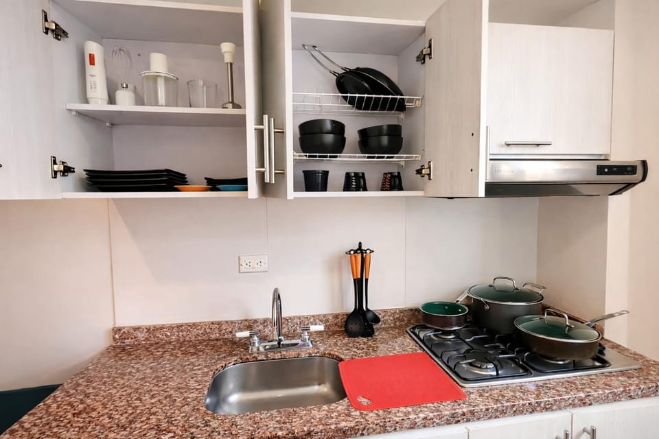 Kitchen or kitchenette, minibar, stove