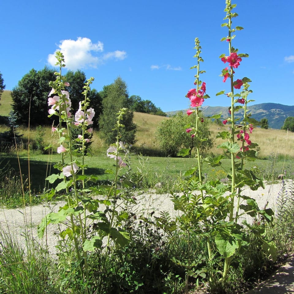 Garden view, Area and facilities