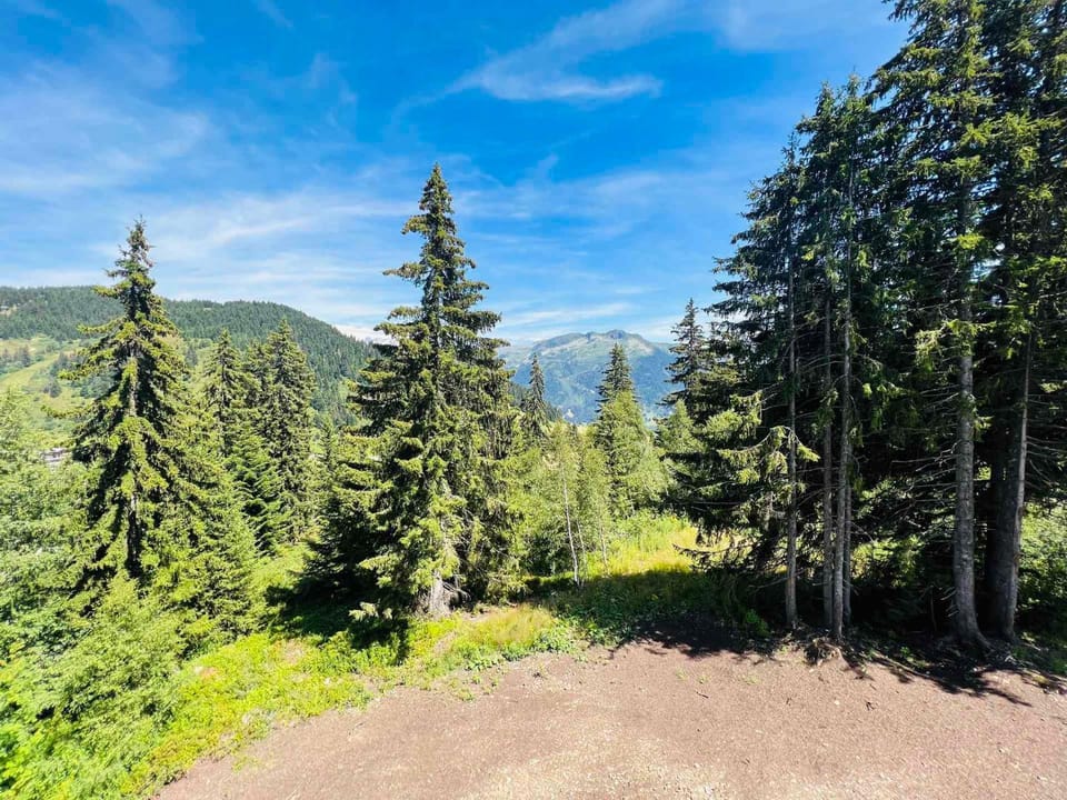 Appartement neuf 3 pièces aux Saisies, 6 pers, parking inclus - FR-1-293-388 Apartment in Villard-sur-Doron