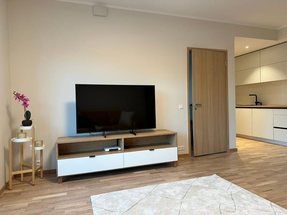 TV and multimedia