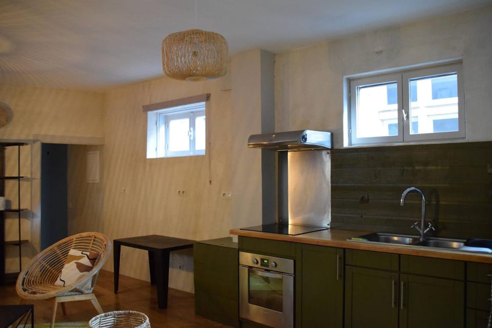Le Petit Vauluisant Troyes Centre Historique, Charmant Duplex Apartment in Troyes