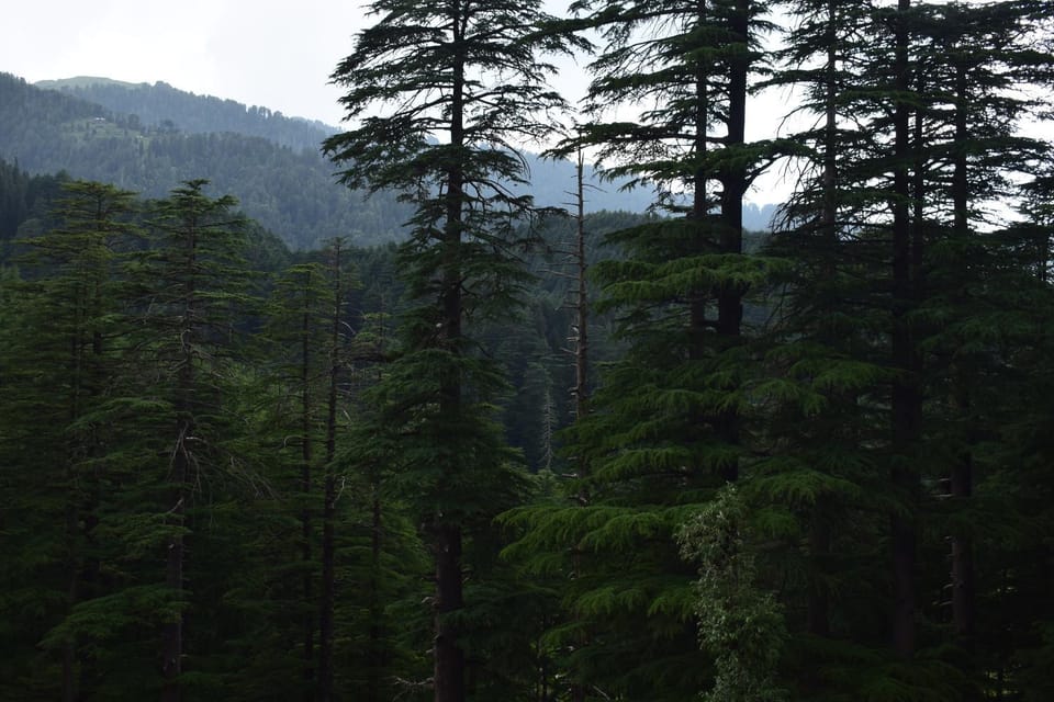 Natural landscape, Mountain view
