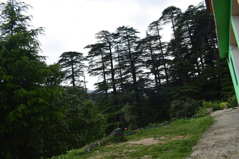 Natural landscape