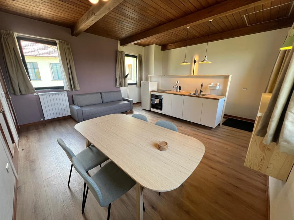 Kitchen or kitchenette, Living room, Seating area, Dining area, dishwasher, stove