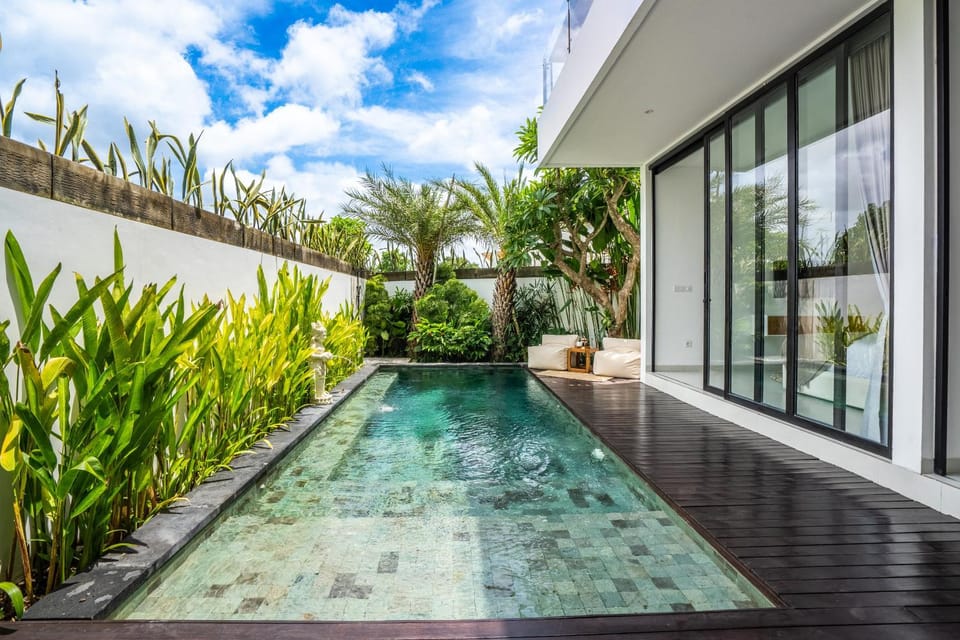 Garden, Garden view, Pool view, Swimming pool, sunbed