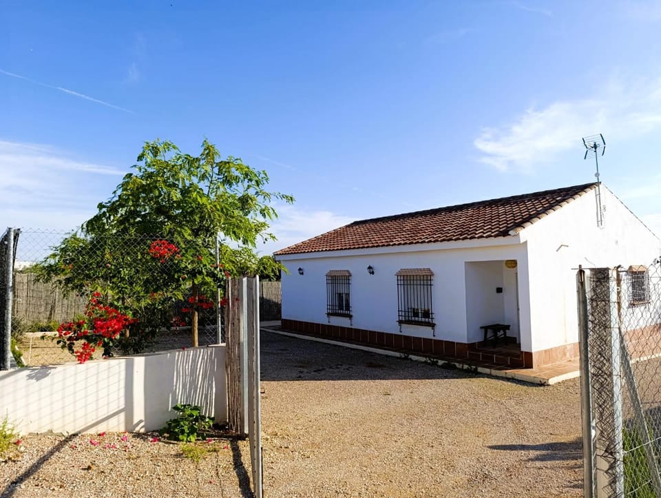 Property building, Spring, Natural landscape, Garden, Garden view