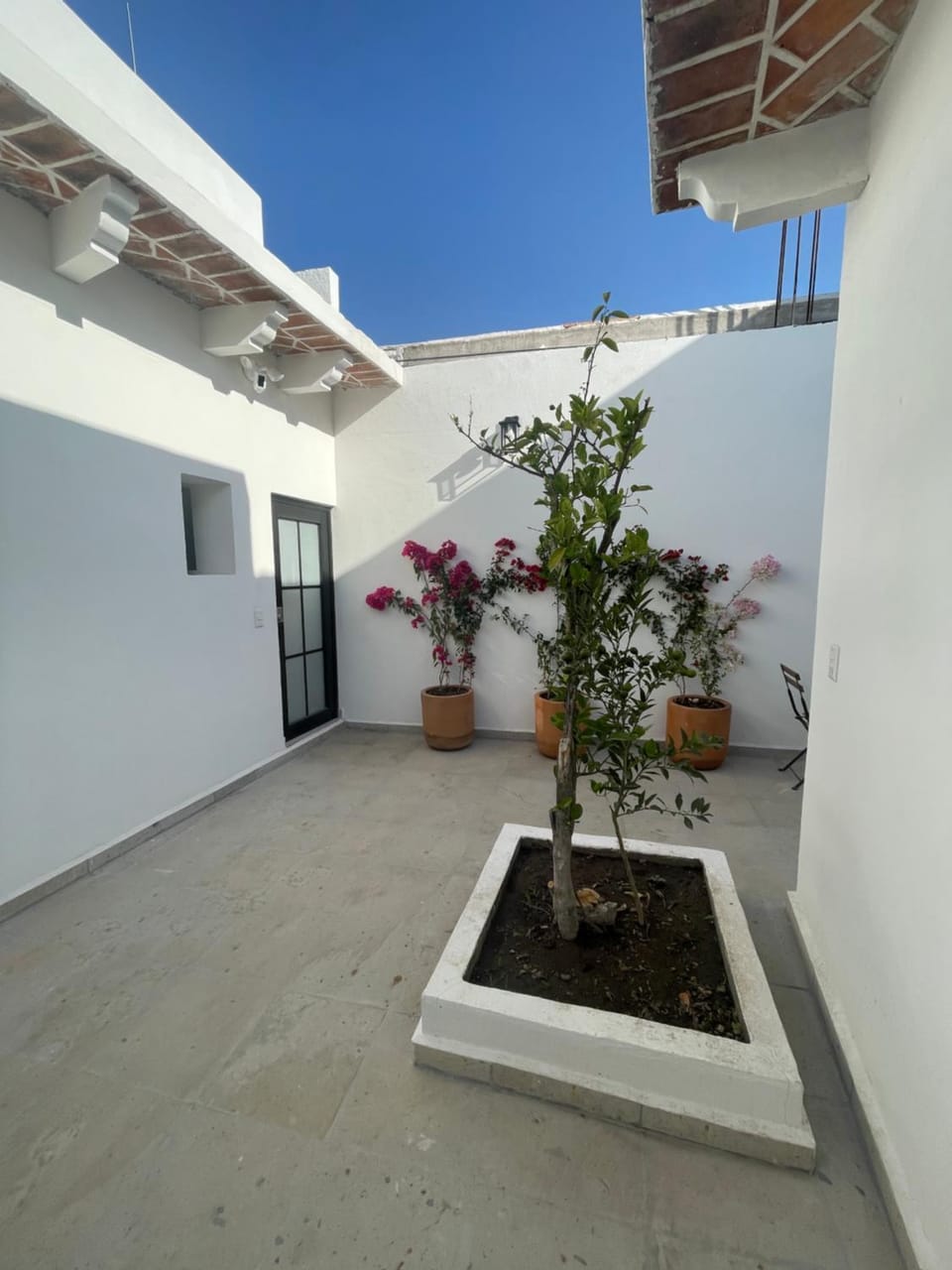 Casa Limones. Hermoso secreto en el corazón de Tequisquiapan Apartment in Tequisquiapan