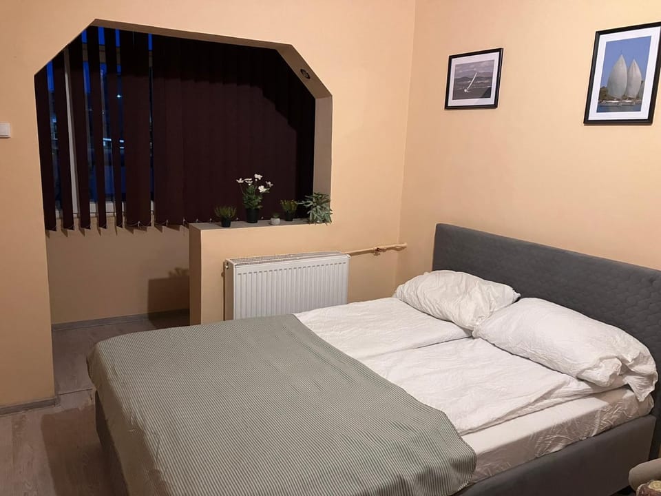 Robert room 18 Apartment in Timiș County