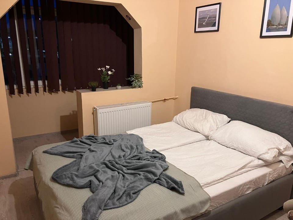 Robert room 18 Apartment in Timiș County