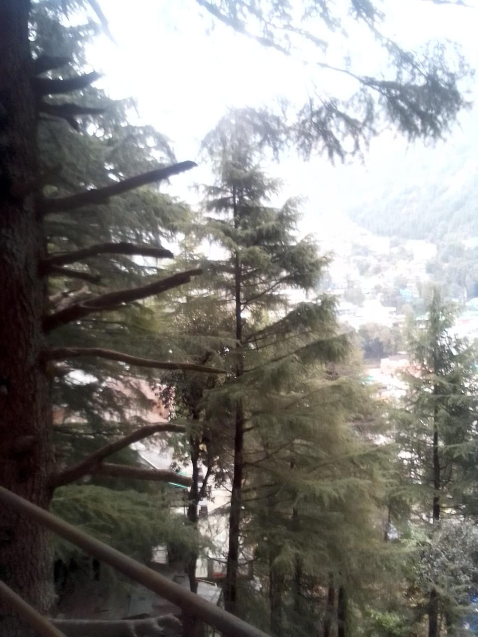 Himalayan Triund Hill View Hostel Vacation rental in Punjab, India