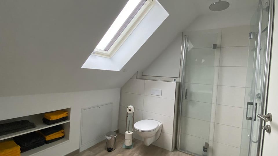 Shower, Toilet, Bathroom, towels