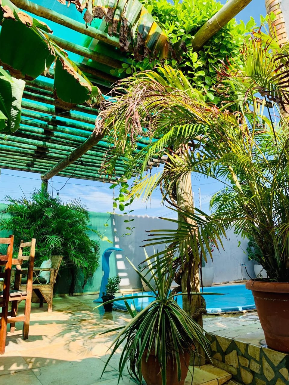 Garden, Swimming pool