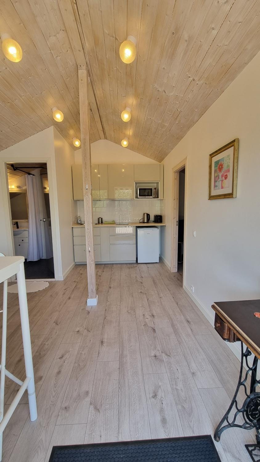 Garden view apartment Apartment in Tallinn