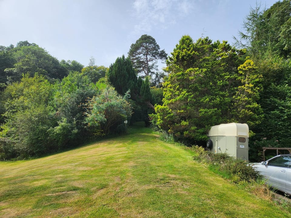 Natural landscape, Garden