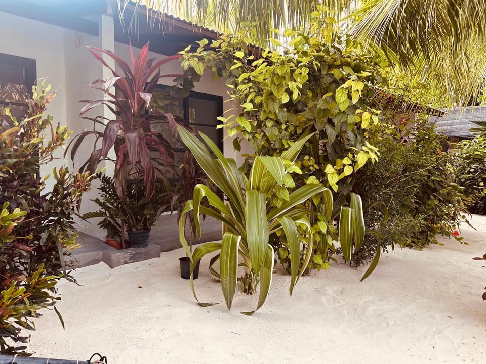 Day, Garden, Garden view