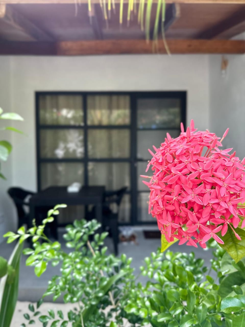 Day, Garden, Living room, Seating area, Garden view