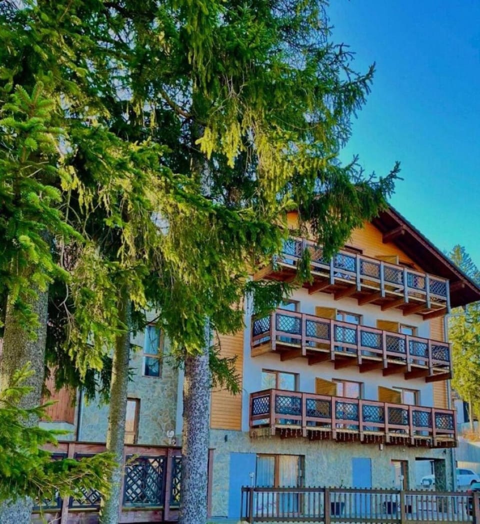 Apartament Zielony Horyzont Apartment in Lower Silesian Voivodeship