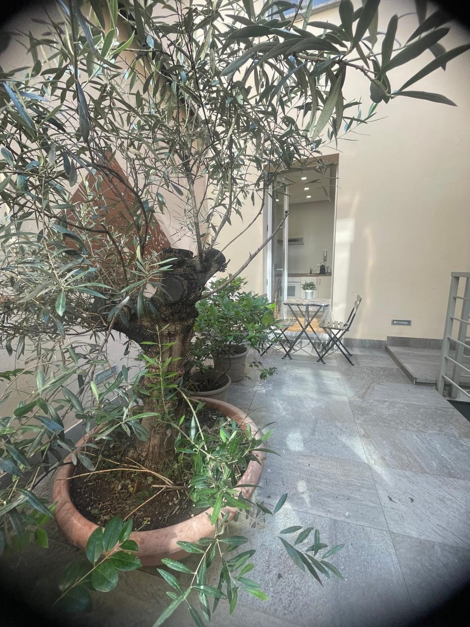 Garden view