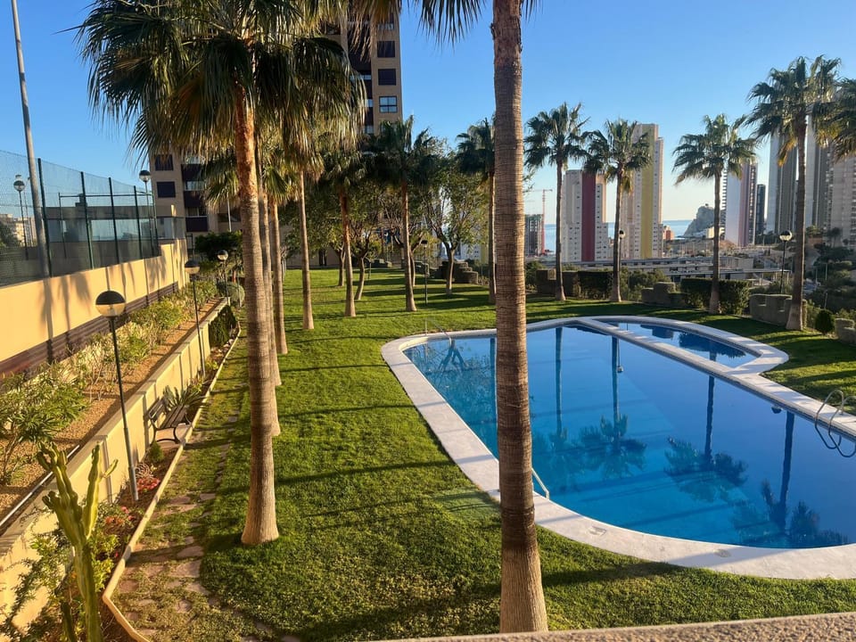 Natural landscape, Garden, Swimming pool