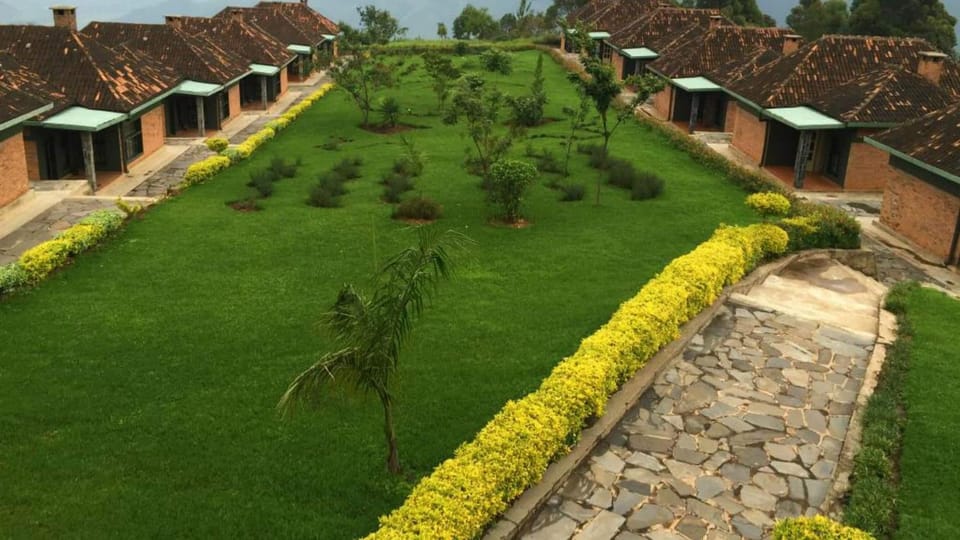 Property building, Spring, Day, Garden, Garden view