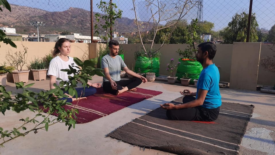 Vedic Life Homestay & Wellness Centre Vacation rental in Jaipur