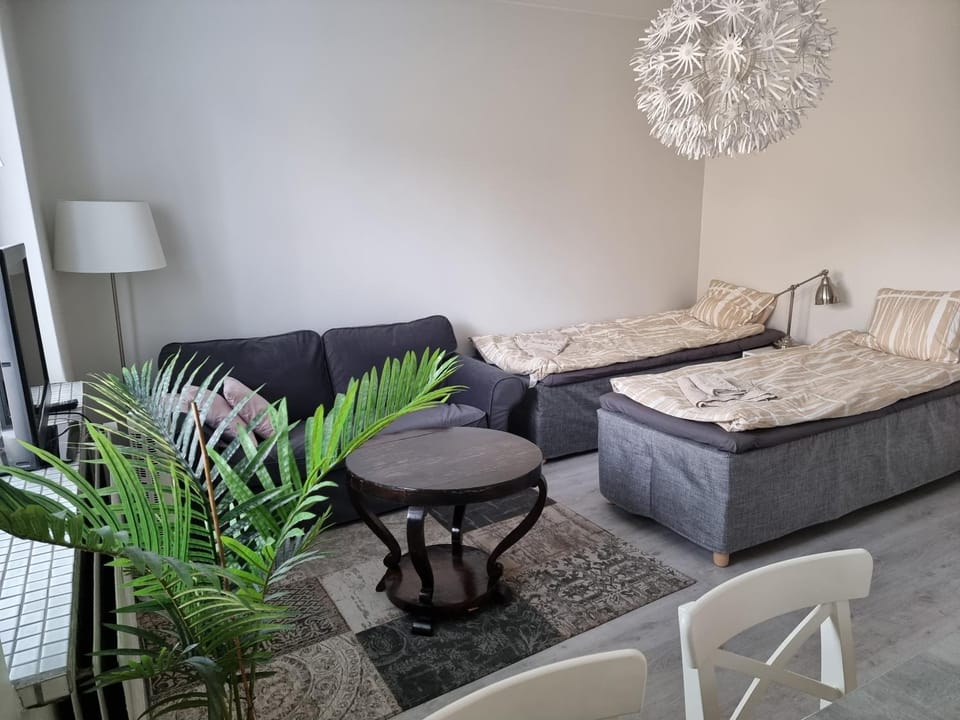 Studio Porin Oksi, home away home in Pori city center, free parking Apartment in Finland