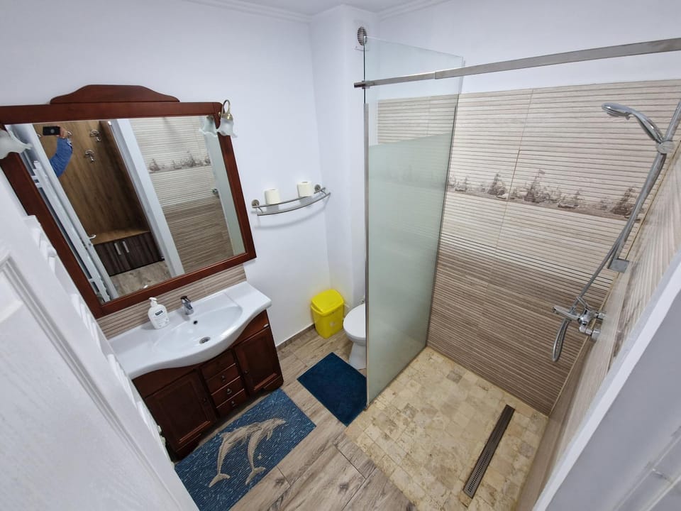 Vila Flavius Bed and Breakfast in Romania
