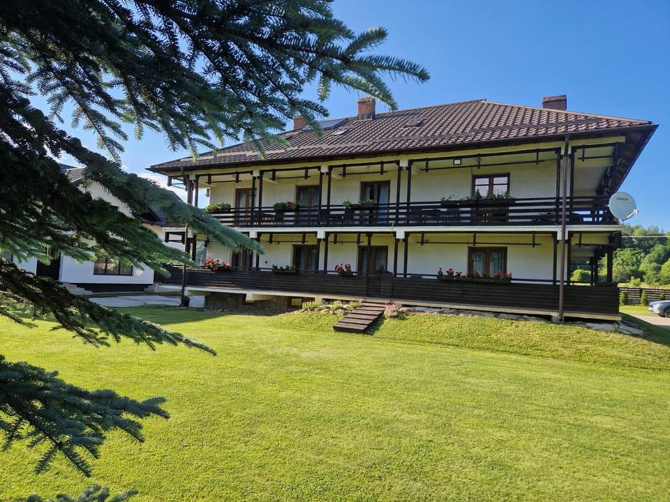 Pensiunea Irina Bed and Breakfast in Romania