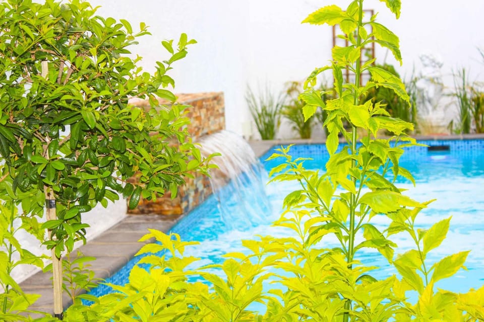 Garden, Swimming pool