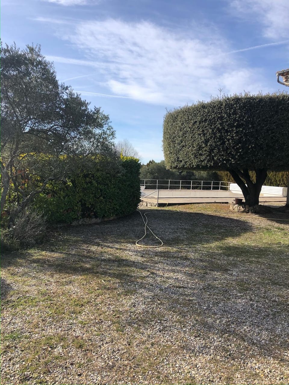 Garden view