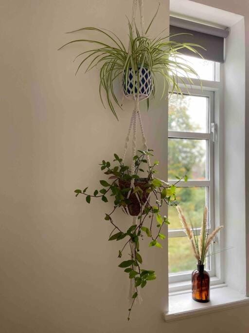 Linnet House - Relaxing - Leafy - Whole Apt- 2 Bed Apartment in Liverpool