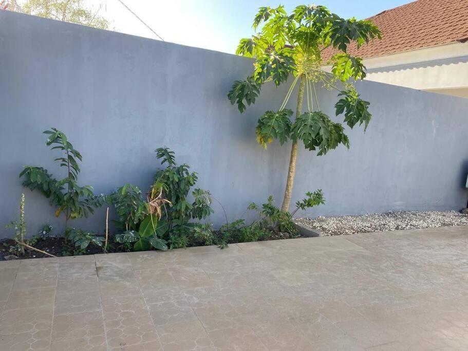 Saffy Guest House House in Senegal