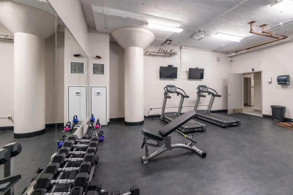McCormick Place 2BR Oasis with Optional Parking, Patio, Gym for up to 6 guests Near Museum Campus, Grant Park & Soldier Field Apartment in South Loop