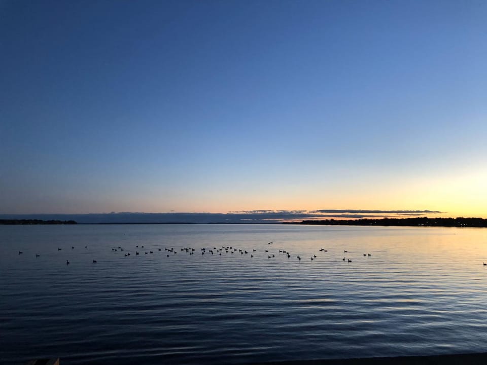 Lake view