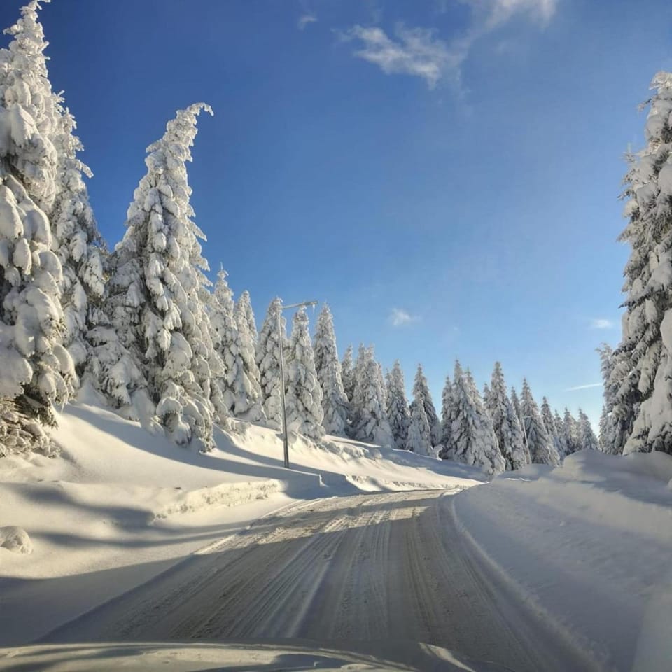 Day, Natural landscape, Winter, Street view