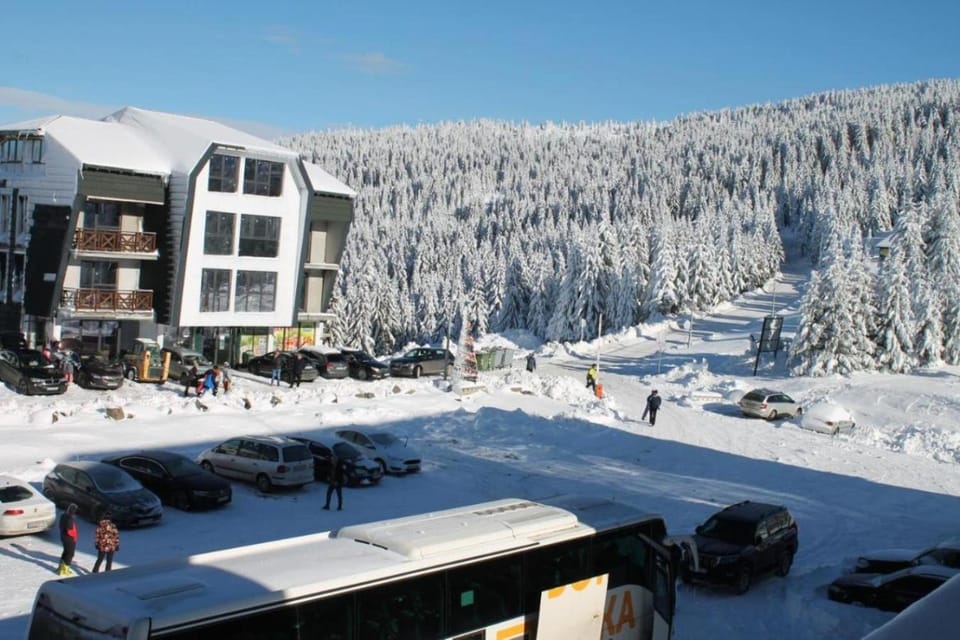 Property building, People, Neighbourhood, Natural landscape, Winter, Mountain view, Street view, Location, group of guests, Parking