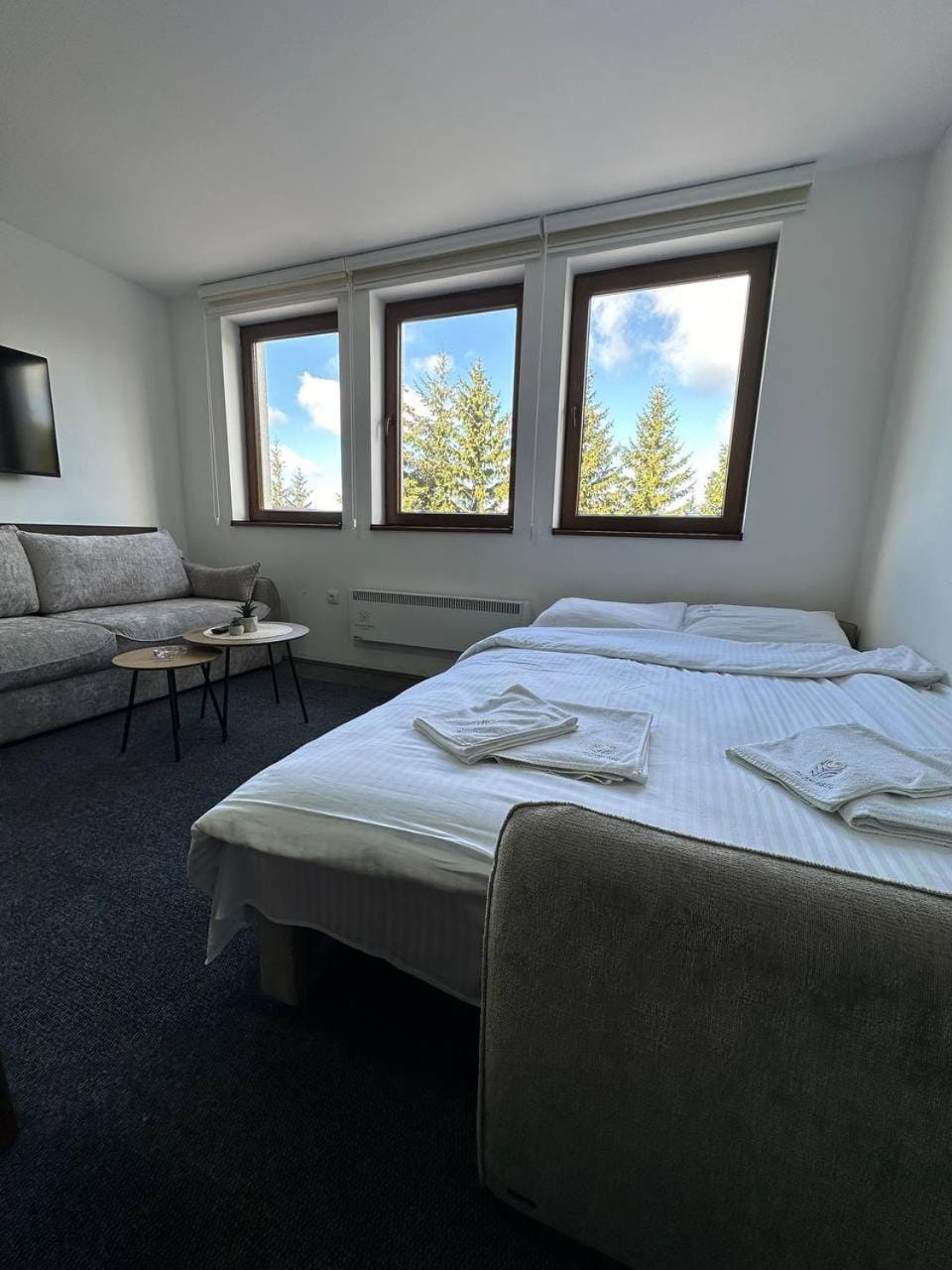 Bed, TV and multimedia, Living room, Photo of the whole room, towels