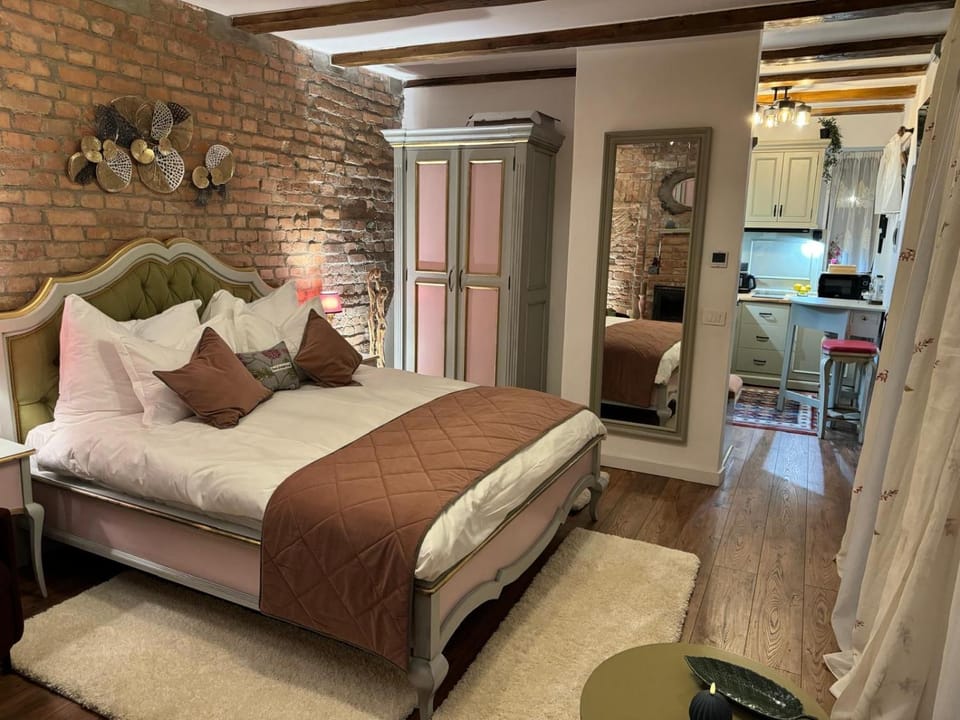 Studio Rezistenta Apartment in Brașov County