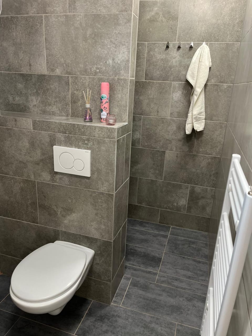 Shower, Toilet, Bathroom, towels