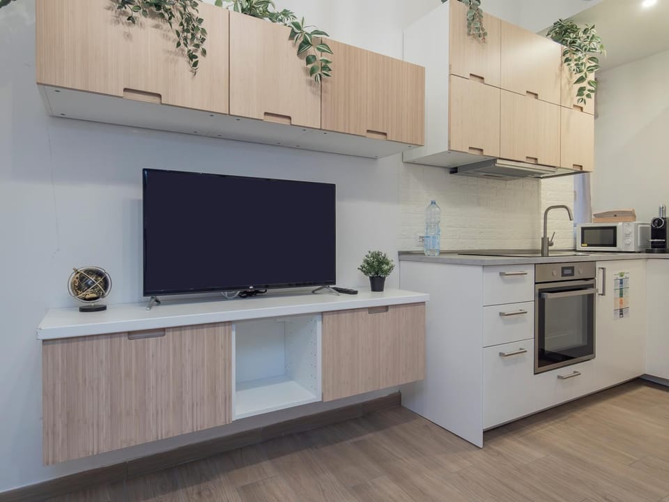 TV and multimedia, minibar, pet friendly, stove