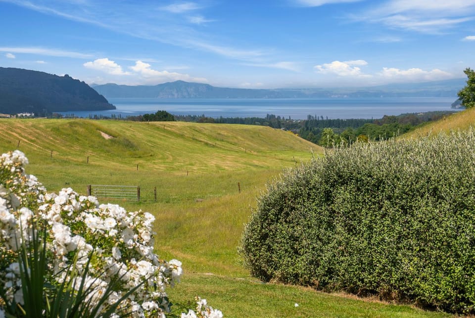 Spring, Day, Lake view