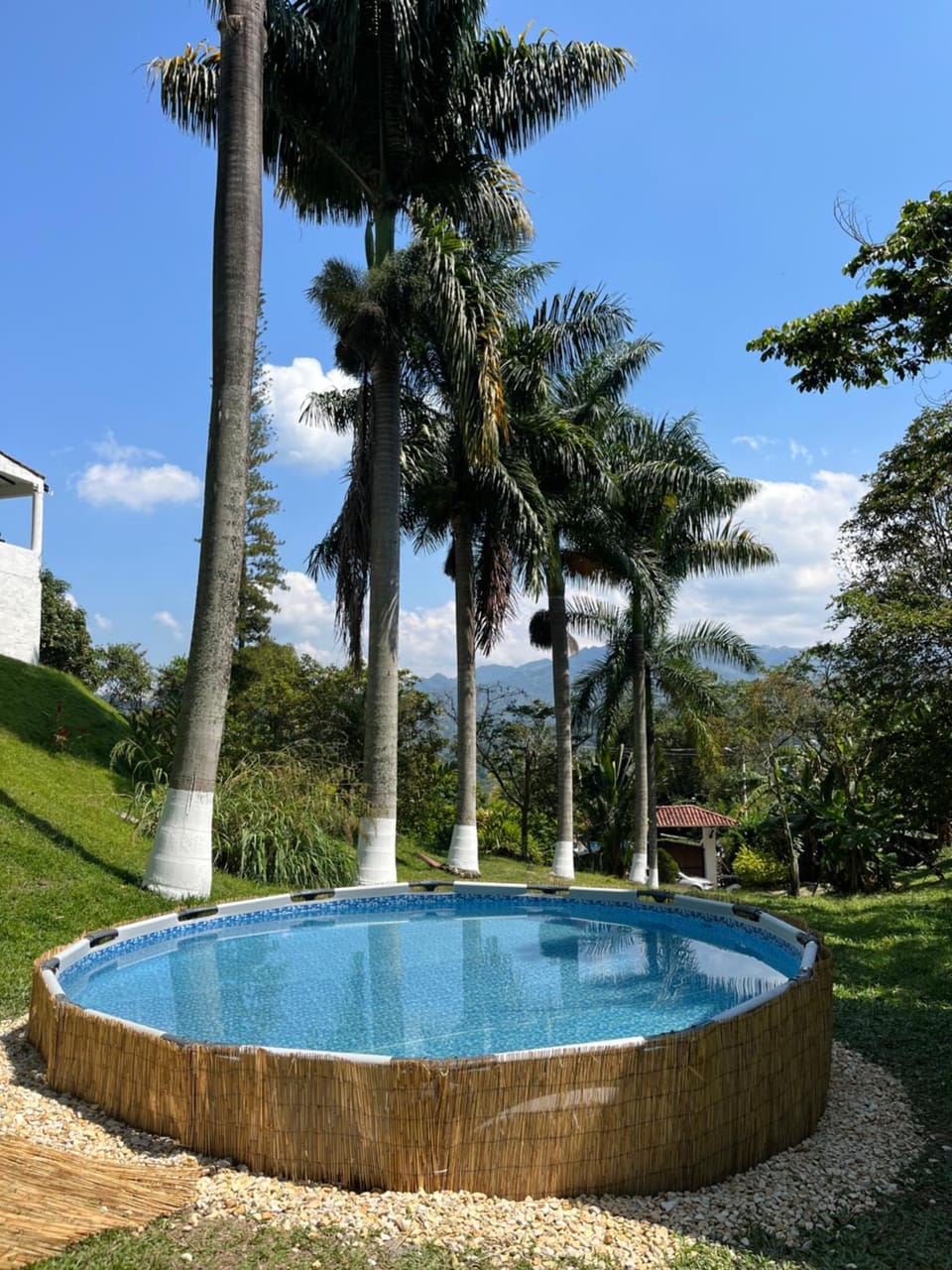 Pool view