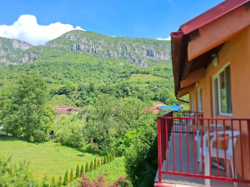Pensiune Safrane Bed and Breakfast in Serbia