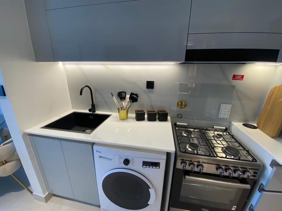 Kitchen or kitchenette, minibar, pet friendly, stove, washing machine