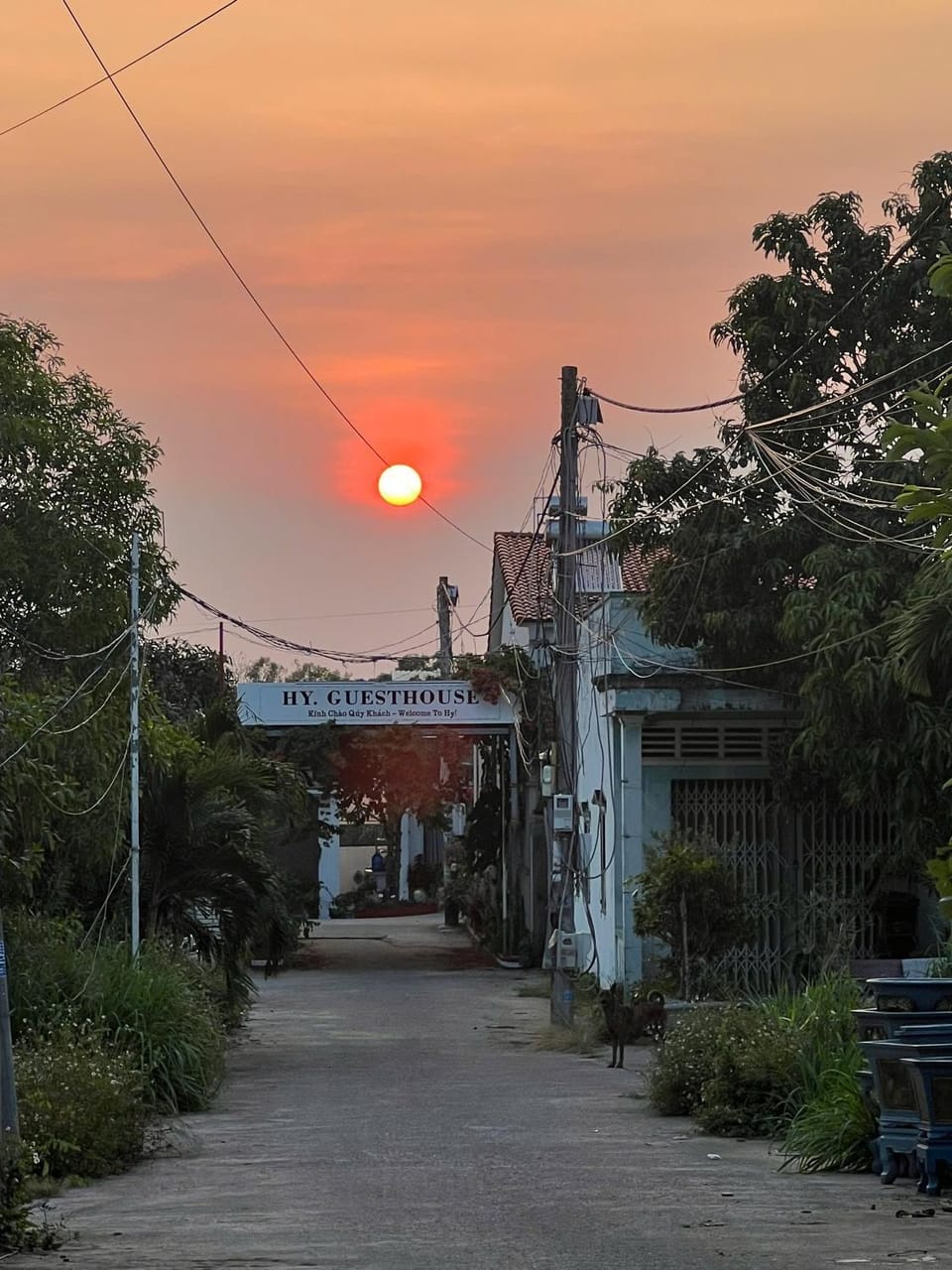 HY GUESTHOUSE PHU QUOC - Nhà Hy vivu bên Vườn Hotel in Phu Quoc