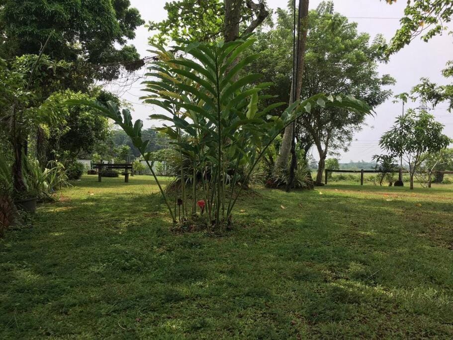 Luxury Villa close to famous Hikkaduwa Beach Villa in Southern Province