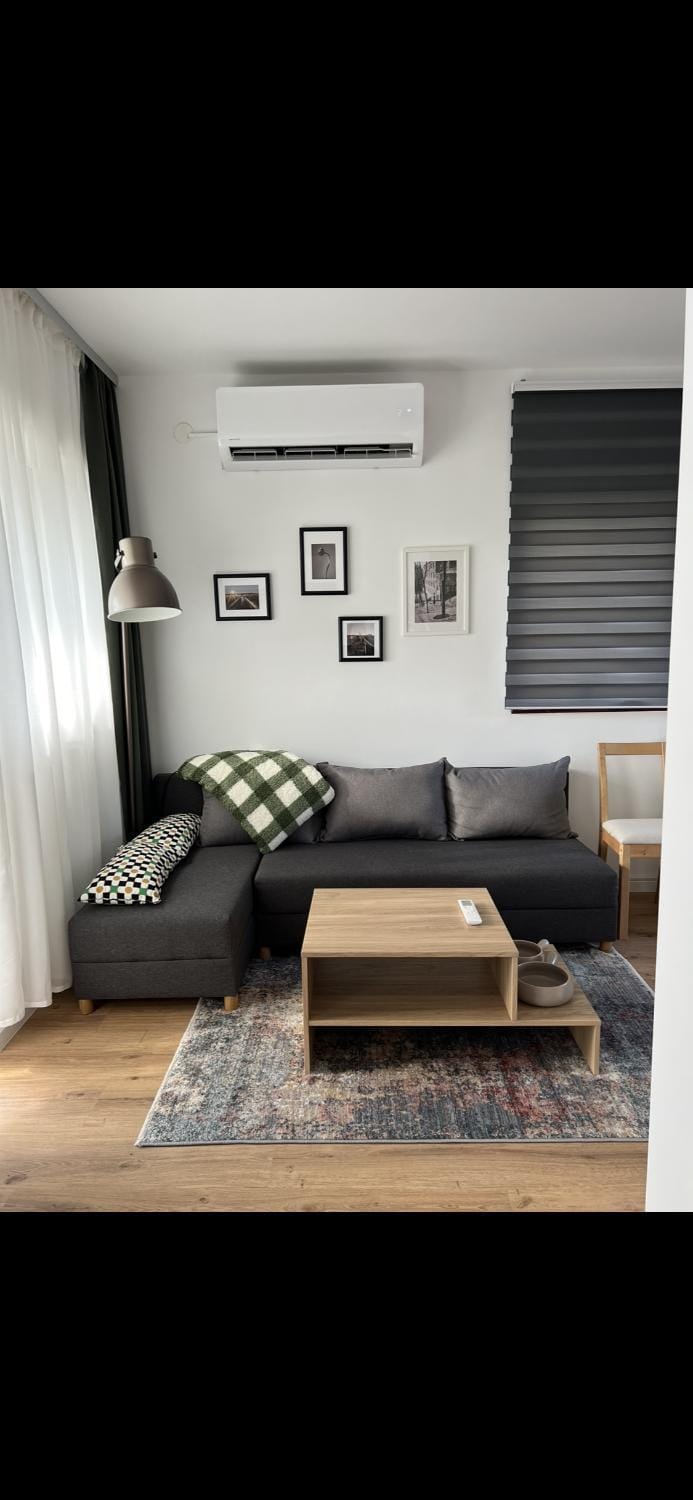 Living room, Seating area, air conditioner