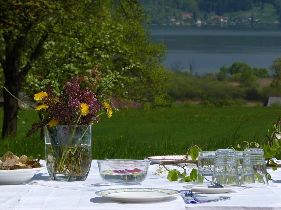 Garden, Balcony/Terrace